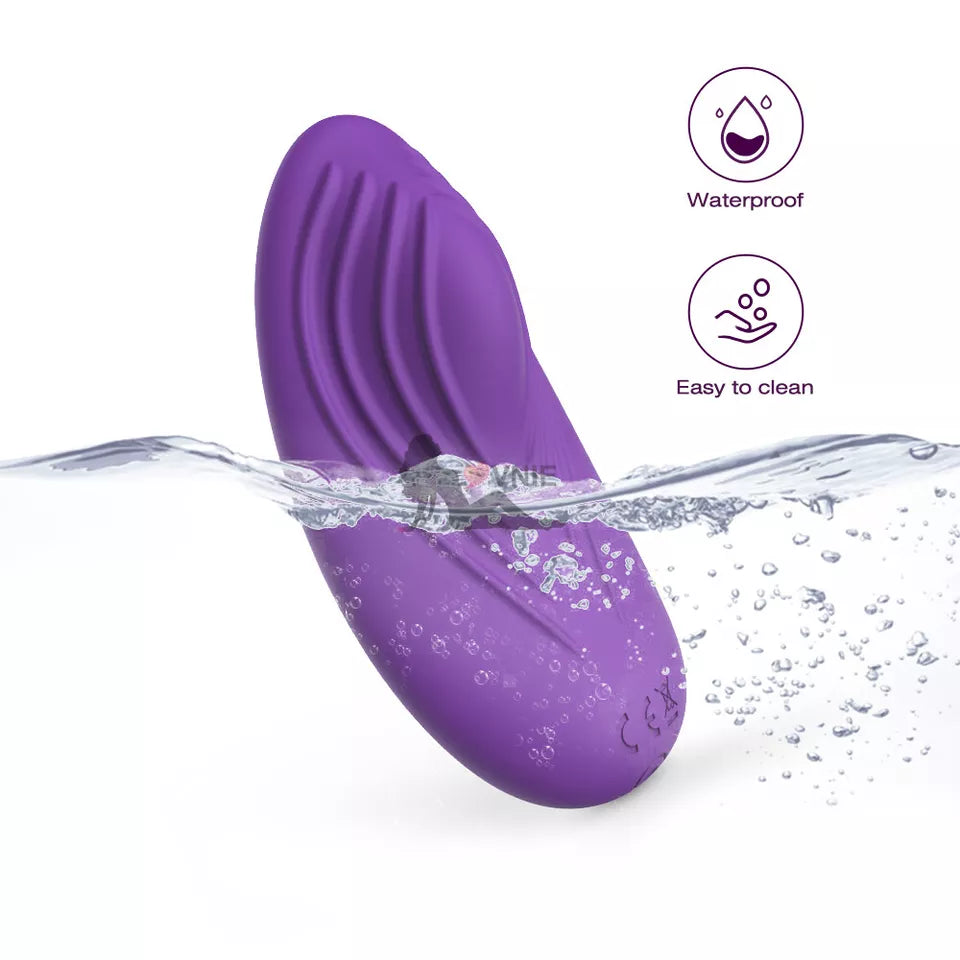 Wearable Egg Vibrator with Wireless Remote, 10 Vibration Modes, USB Rechargeable Waterproof Silicone Panty Vibrator for Women, Quiet Hands-Free Clitoral Stimulation