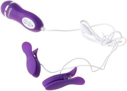 Vibrating Breast Nipple Clamps,Nipple Clamps for Women with 10 Vibration Frequencies,IPX7 Waterproof,Nipple Sex toys