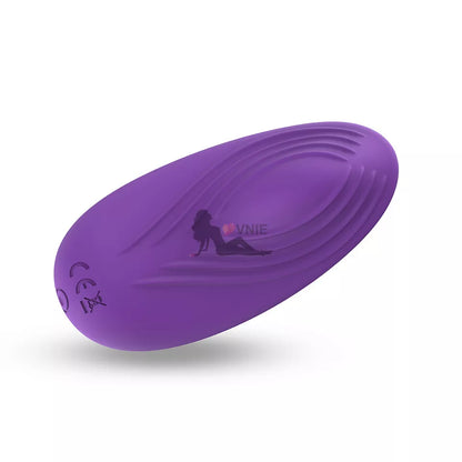 Wearable Egg Vibrator with Wireless Remote, 10 Vibration Modes, USB Rechargeable Waterproof Silicone Panty Vibrator for Women, Quiet Hands-Free Clitoral Stimulation