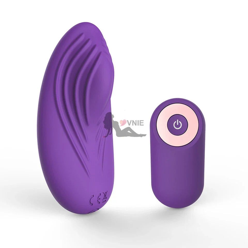 Wearable Egg Vibrator with Wireless Remote, 10 Vibration Modes, USB Rechargeable Waterproof Silicone Panty Vibrator for Women, Quiet Hands-Free Clitoral Stimulation