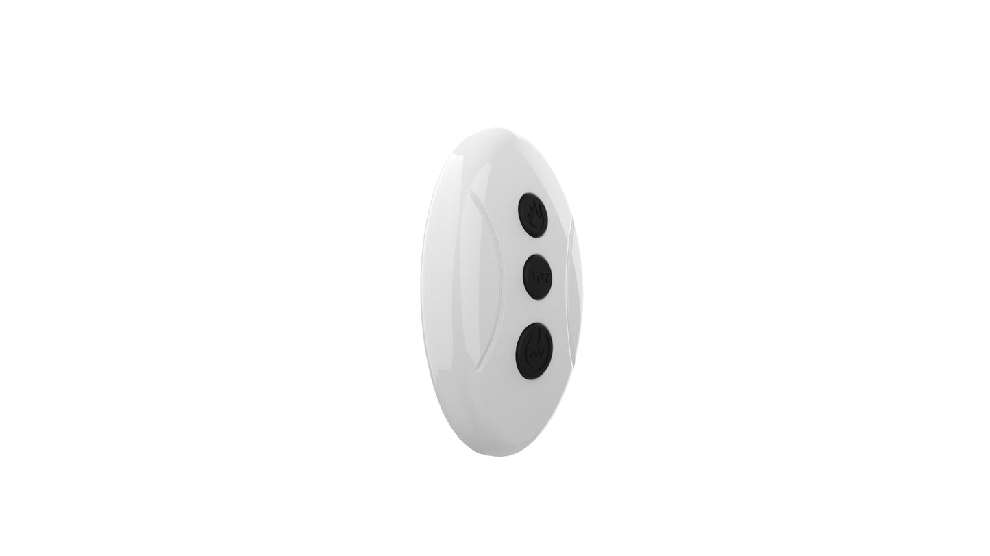 Remote Control Vibrating Butt Plug 10 Modes USB Rechargeable Silicone Waterproof